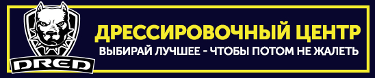 Главная